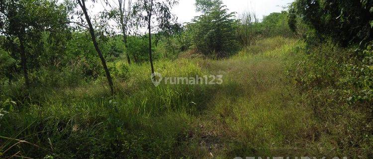 Dijual Segera Tanah Siap Bamgun  1