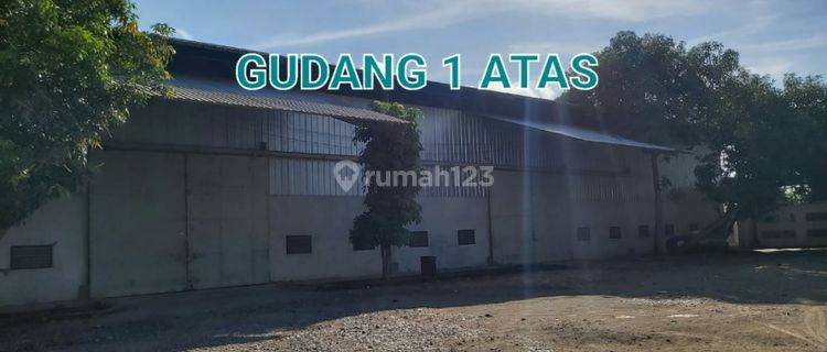 DiJual MURAH PABRIK BERAS SUMBAWA NTB Nusa Tenggara Barat 1