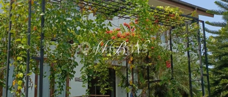 For Sale Luxury House in Elite Cluster at Bsd 1