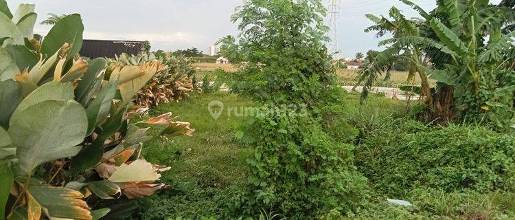 Dijual Tanah Cocok Untuk Bisnis di Dramaga, Bogor 1