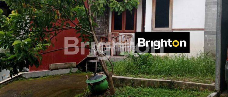 RUMAH MUNGIL DIJUAL 1