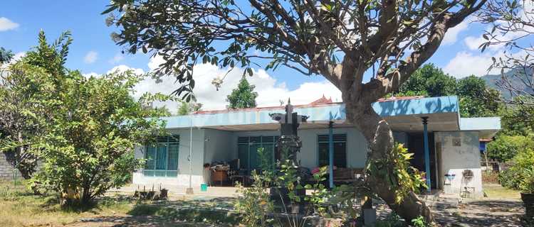 Jual Cepat Rumah Di Buleleng Bali Dengan Tanah Luas 1