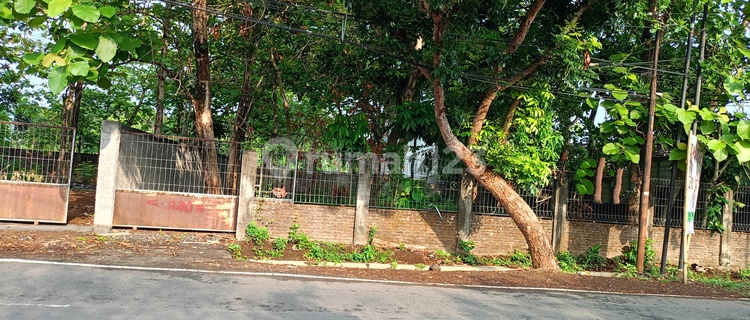 Strategic Land on the Main Road in Tembalang, Near Undip. 1