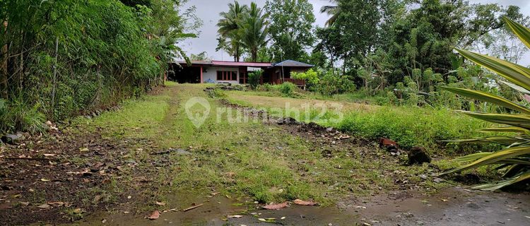 Rumah Asri Halaman Luas Tomohon 1