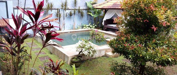 Sewa Rumah Lovina Sewa Villa Tahunan Lovina Rent Villa Yearly Lovina  1