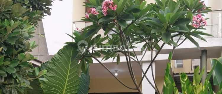 For Sale Cluster Arana Harapan Indah Bekasi House 1