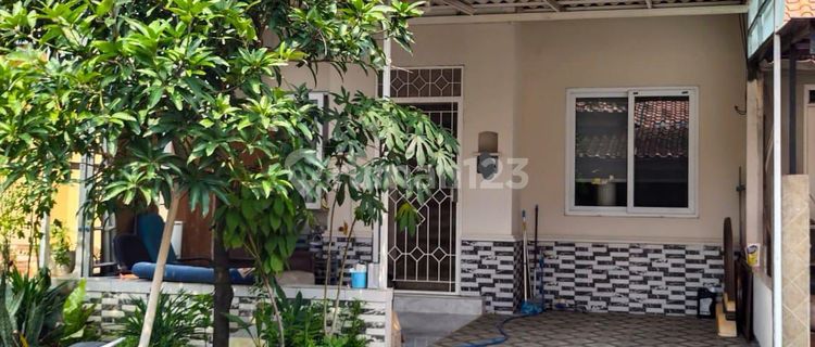 Nice Cheap House Already Renovated. Cheap 1