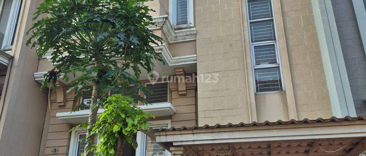 Rumah Dkt Ruko Aniva Dan St John 1