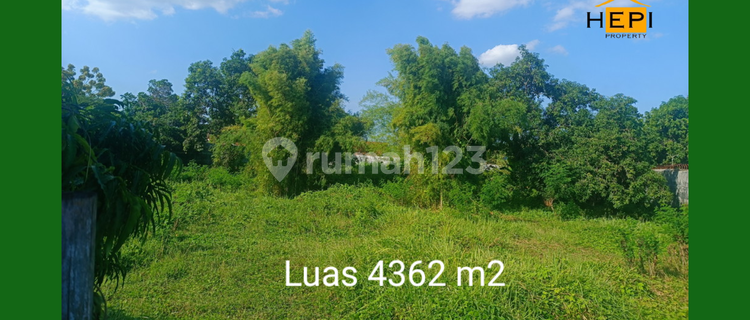 Tanah Dekat Alun Alun Pemalang Pusat Kota Harga Murah  1