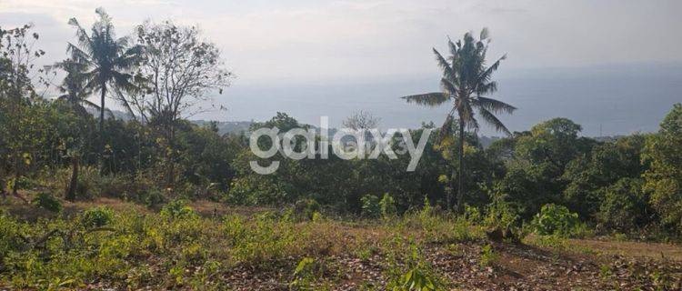 Dijual Tanah 20 are di Lovina, Buleleng 1