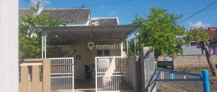 Dijial Cepat Rumah Siap Huni Area Banyuwangi  1