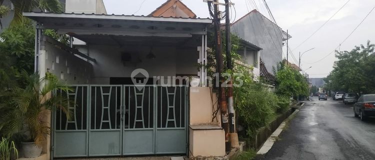 Rumah Strategis Dekat Fasilitas Umum di Kanguru Semarang Rumah 1