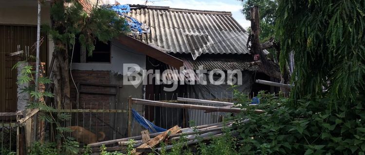 Tanah Siap Bangun di Sambiroto Semarang Timur 1