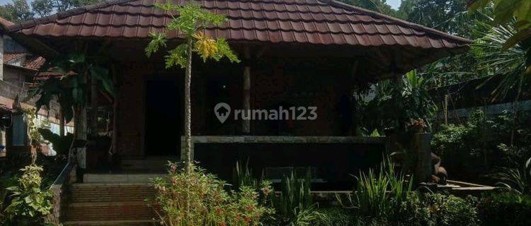 Villa Semi Permanen Cijeruk, Bogor 1