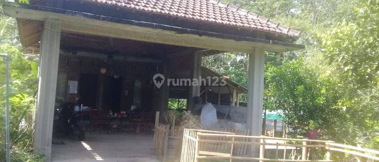 Dijual Rumah Dengan Pekarangan Yang Luas Di Desa Kayen, Trenggalek, Jawa Timur 1
