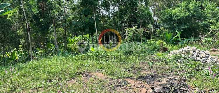 Kavling di jalan Watulawang Timur 1