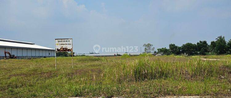 Tanah Strategis Akses Mudah di Jl. Raya Cikande Rangkas Bitung, Jawilan, Serang, Banten 1