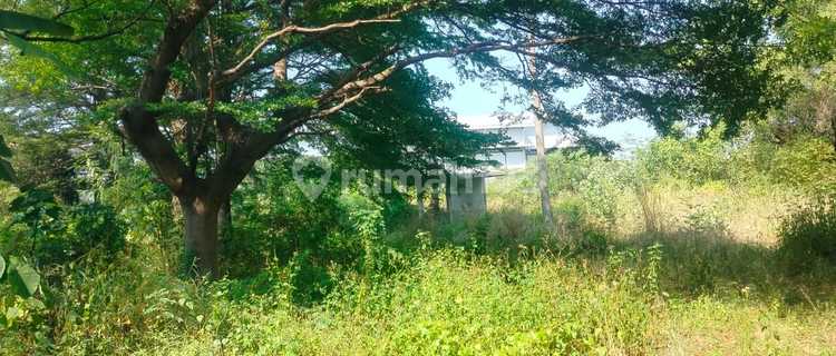 Sewa Tanah Industri Kiw Tugu Dekat Akses Tol Krapyak Kendal 1