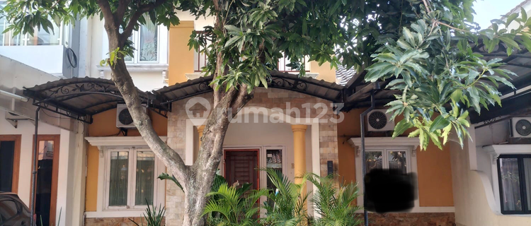 Ready-to-Occupy House Cluster Near Unimus Kedungmundu 1