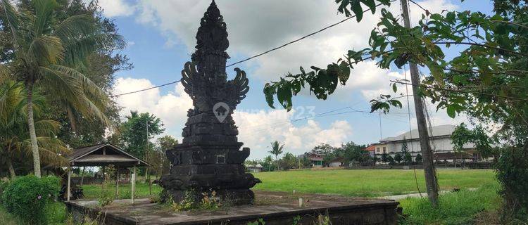 Villa Penatahan, Tabanan (Leasehold Mount/Year) 1