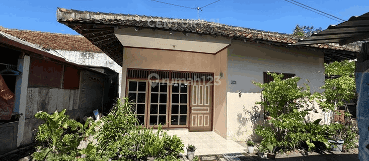Rumah LB 80 M2 Hanya 250 M Ke Kampus Terpadu Widya Mataram Jogja 1