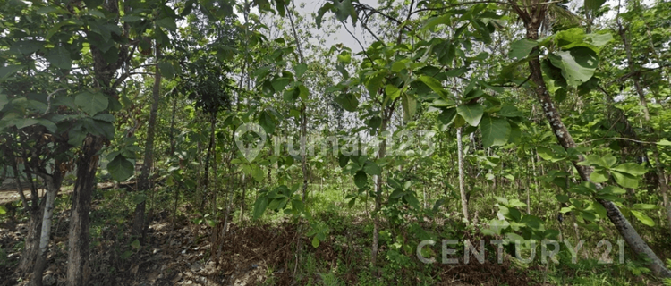 Dijual Tanah Di Bejiharjo Karangmojo Gunung Kidul 1