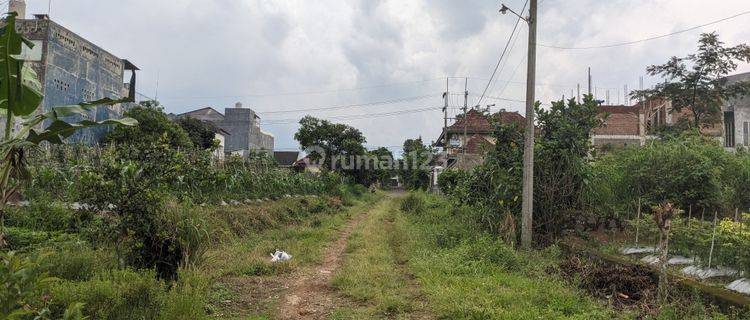 Investasi Menjanjikan: Tanah Potensial di Kawasan Kampus Malang, SHM Siap Bangun 1