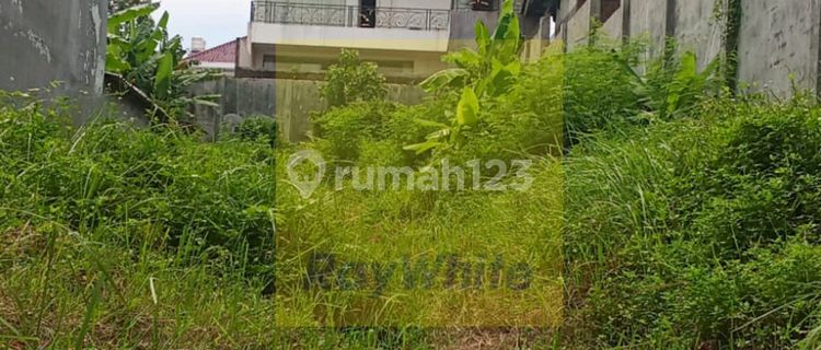 Affordable Rental Land Large Area City Center Beside Main Road 1