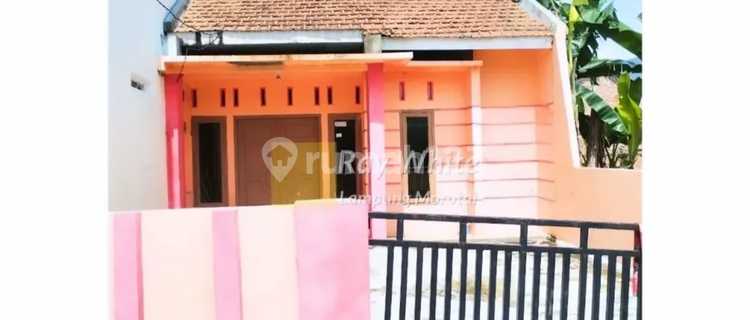 19 MILLION PER YEAR FOR RENT HOUSE NEAR LAMPUNG WALK URIP SUMOHARJO HOSPITAL BANDAR LAMPUNG 1