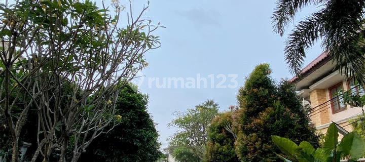 Luxury House in Bintaro Sector 1. Elite Cluster for South Jakarta's Sultans. 1