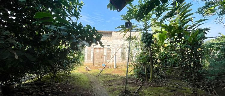Affordable Sale: Simple House and Garden in Bojong Village, Purwakarta 1