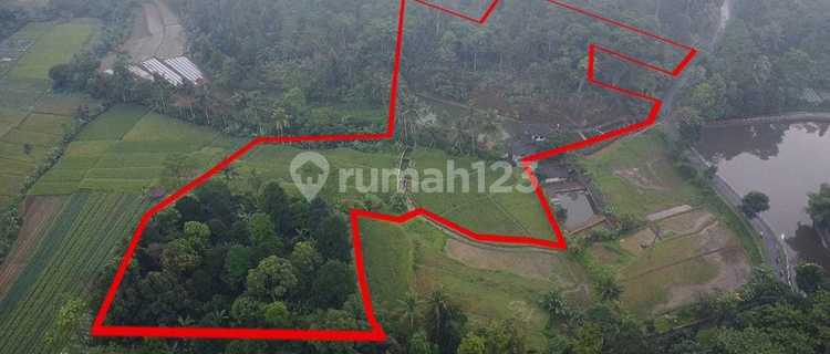 For Sale: Villa House + Durian Orchard + Rice Field + Fish Pond in Purwakarta 1