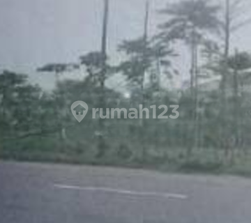 TANAH 2.2 HA RAYA TUBAN JURUSAN BABAT ARAH KE TUBAN 1