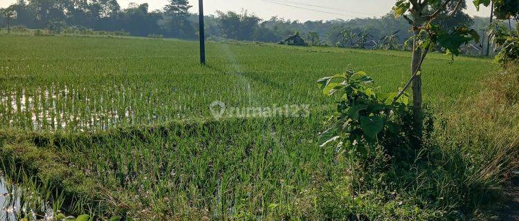 Dijual Tanah Luas di Desa Tari Kolot, Kuningan 1