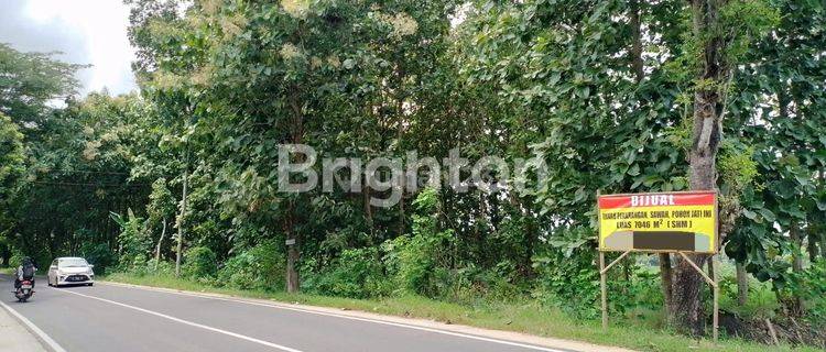 DIJUAL TANAH MURAH DI NGAWI PINGGIR JL PROVINSI 1