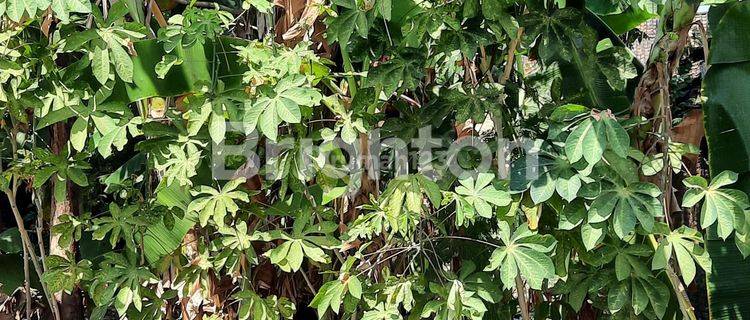 TANAH DI PONDOK GROGOL SUKOHARJO 1
