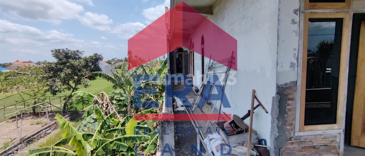 Good Auction Shop House and Rice Field 242 m2 SHM Mangunrejo, Kepanjen, Malang 1