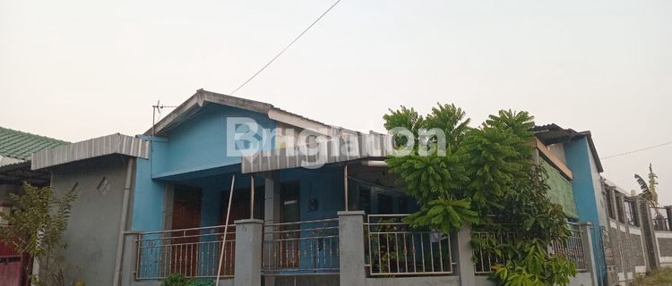 RUMAH BELAKANG DALEM KOPI 1