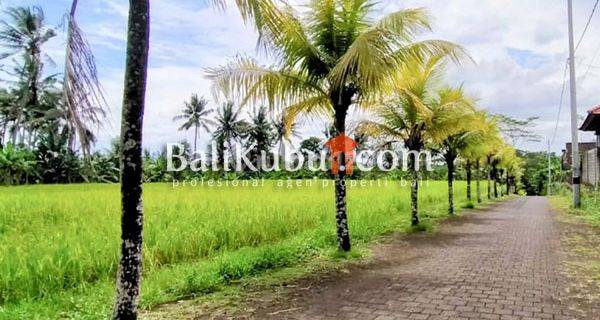 Plot of land for sale in Denbantas Cool Area Housing Tabanan 1