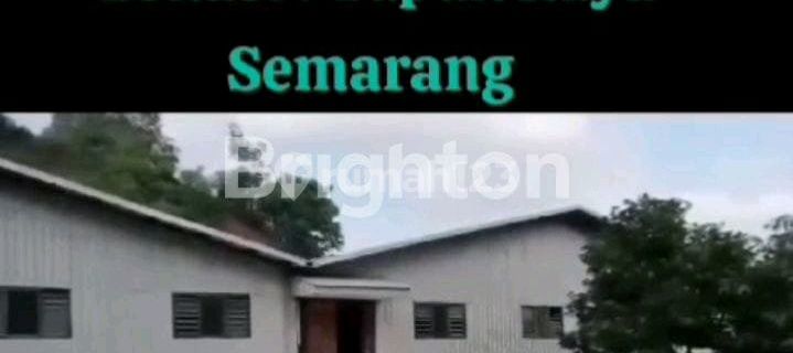 Gudang Tapak Raya Semarang-tugurejo, Kota Semarang Gudang 7853.0 m² SHM 1