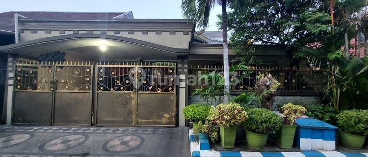 Dijual Rumah 1.5 Lantai Lebar 12 Siap Huni Tidak Banjir Waru 1