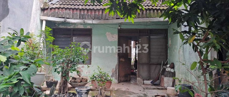 Rumah lama daerah Sambiroto.Tembalang - 10996 1