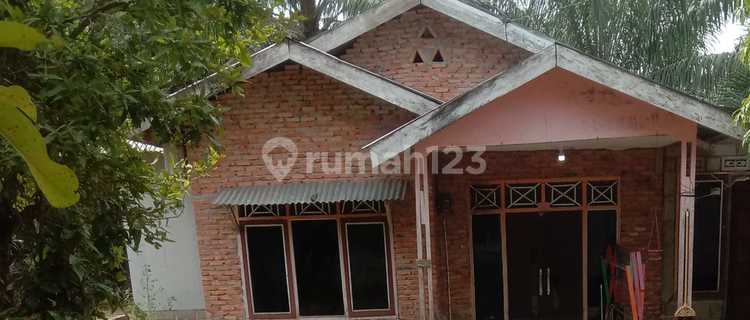 Affordable House in Bonai Darussalam Area 1