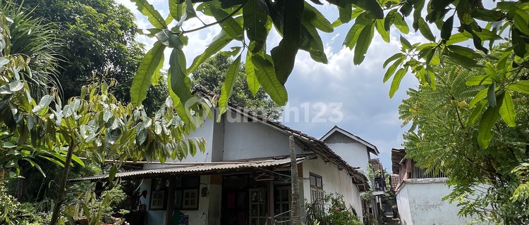 Rumah Murah di Daerah Puger, Jember 1