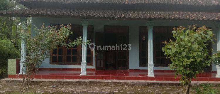 Rumah Murah di Daerah Dolopo, Madiun 1