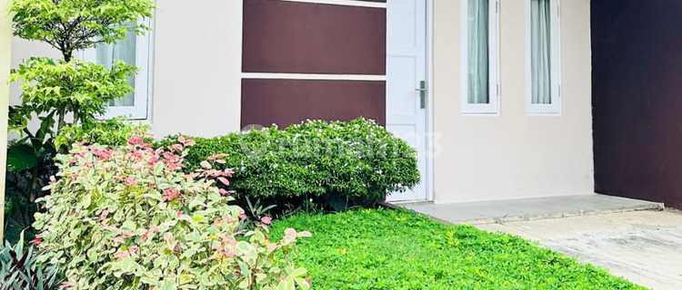 House Near the Banten Governor's Office 1