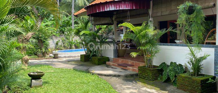 Dijual Rumah SHM 240 m² Kaliasem, Dekat Pantai & Kolam Renang 1