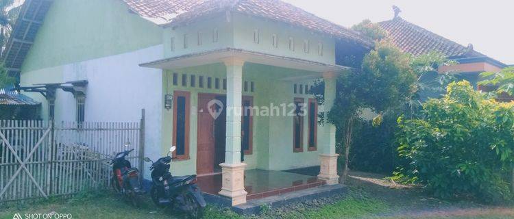 Rumah Shm Pinggir Jalan Raya Maos Sampang Dekat Pertamina Maos 1