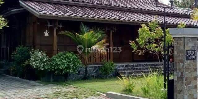 Rumah Joglo Kayu Jati Di Jl. Firaga Belakang Superindo Wolter Tlogomulyo Semarang 1