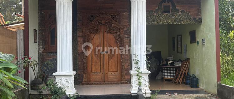 Artistic House on Jl. Jedung Raya, Nongkosawit, Gunungpati 1